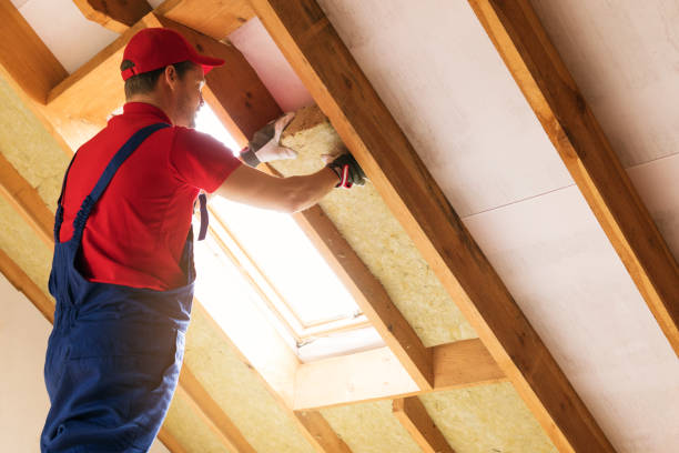 Types of Insulation We Offer in Morrison, IL